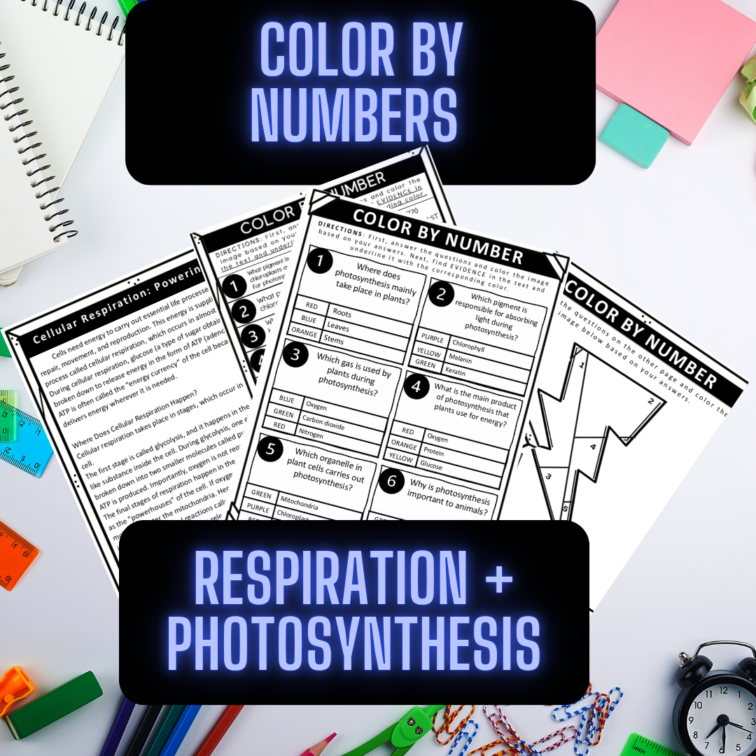 Respiration and photosynthesis educational worksheets.