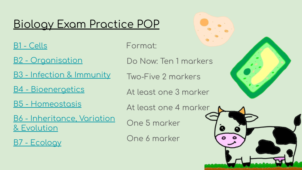 Biology exam topics with cute cow illustration.