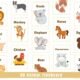 Alphabet Animal Puzzle Activity for toddler – Printable PDF