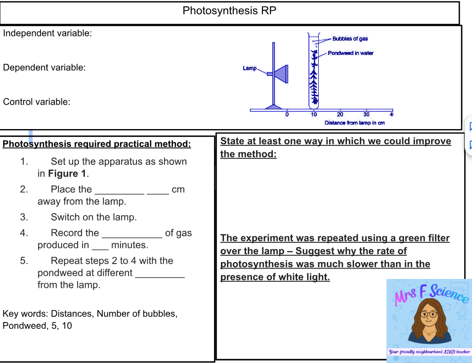 Photosynthesis practical worksheet with experiment setup diagram.