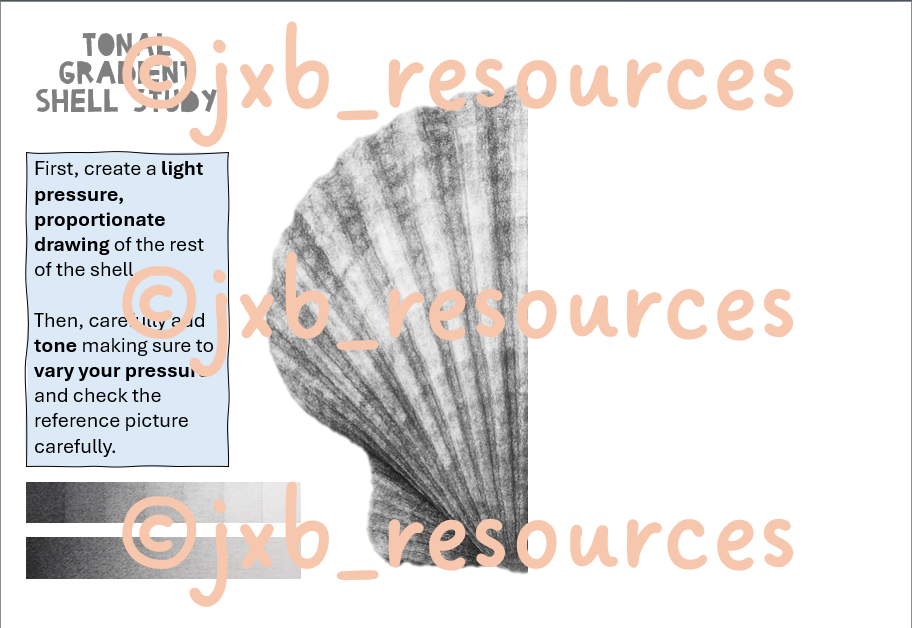 Shell study with tonal gradient instructions.