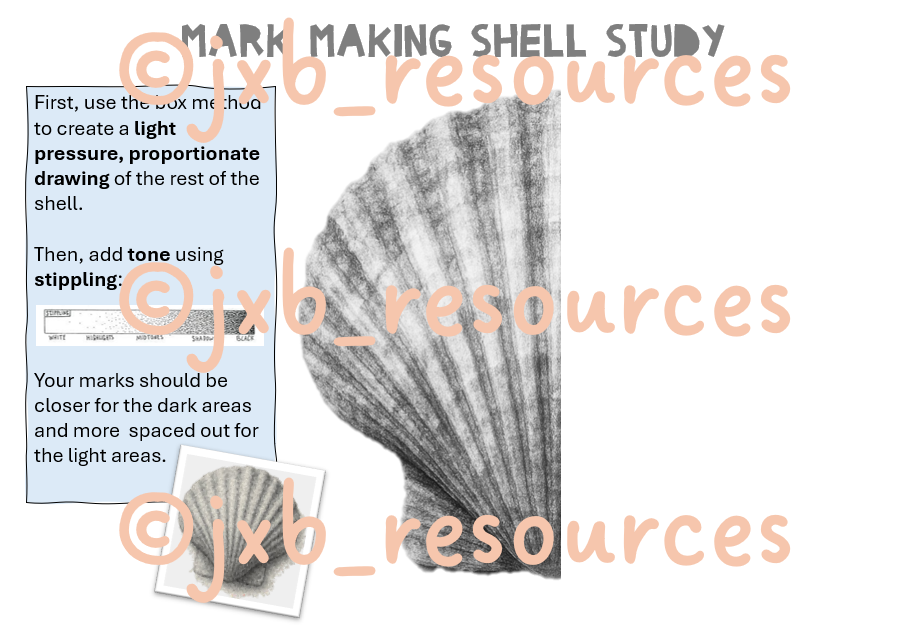 Shell drawing technique guide with instructions.