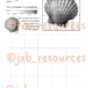 Sea Life – Tonal Gradient Shell Study (Cover Lesson Worksheet)