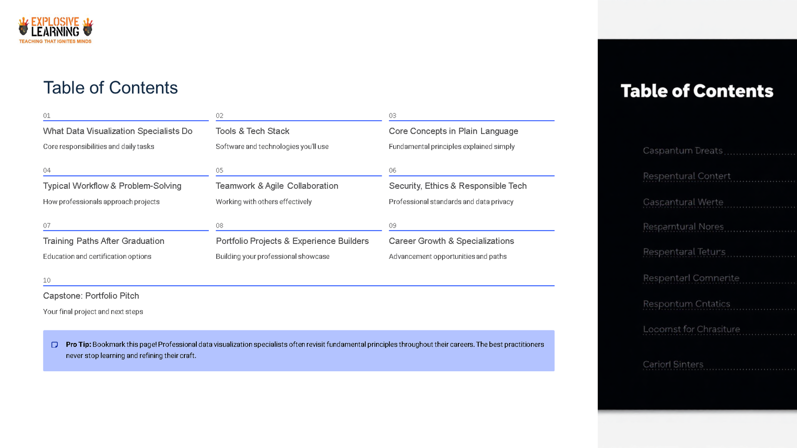 Table of contents slide for data visualisation course