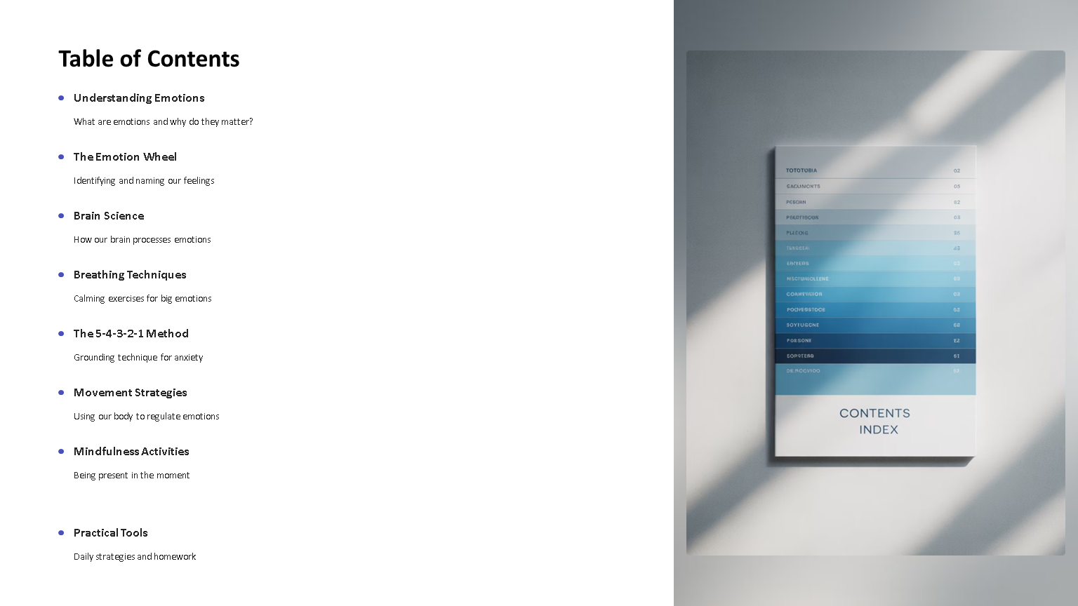 Emotions workbook table of contents page