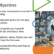 Payroll processing objectives slide with finance illustration