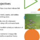 Fishing objectives slide with bait fish diagram