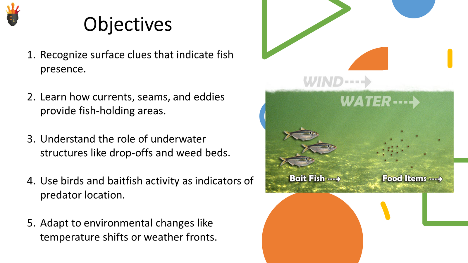 Fishing objectives slide with bait fish diagram