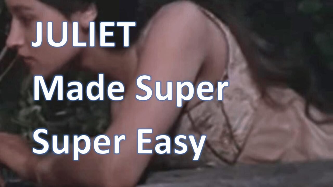 Romeo and Juliet study guide book cover