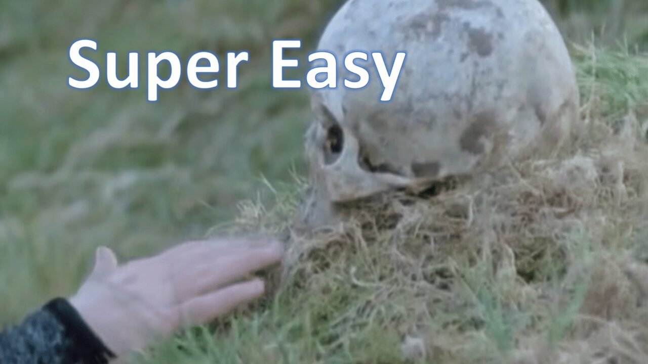 Skull on grass with Hamlet book title