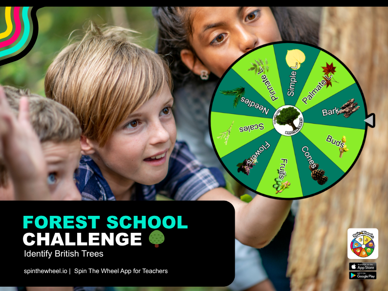 Children exploring trees with forest school spinner