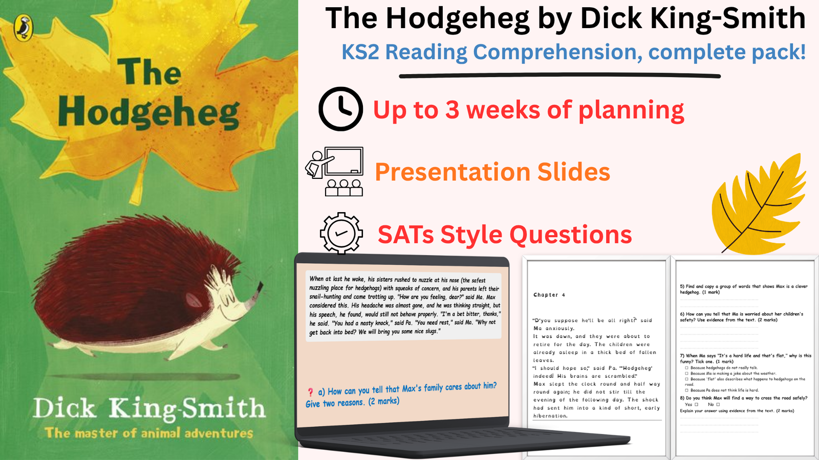 The Hedgehog KS2 reading comprehension resource cover