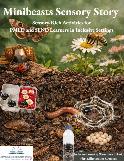 Minibeasts sensory story educational poster with insects