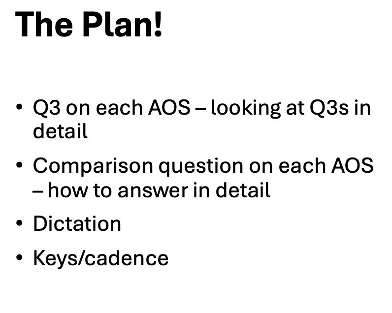 Presentation slide titled The Plan with bullet points