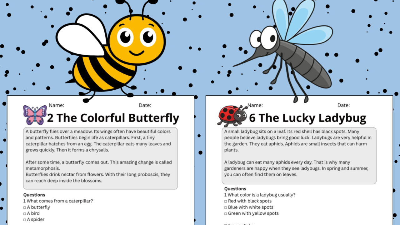 KS2 insect reading comprehension worksheets poster