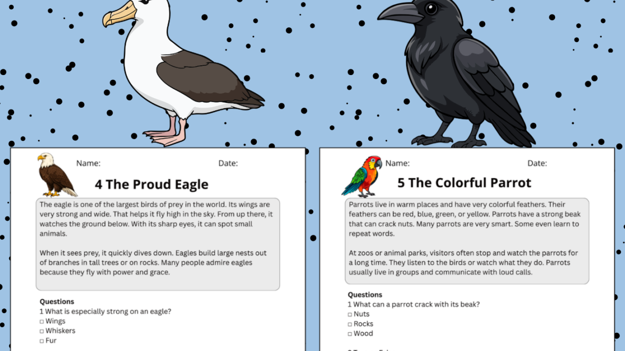 KS2 bird reading comprehension worksheets cover