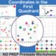 Coordinates in the 1st Quadrant – Plotting Practice – KS2 – Year 4