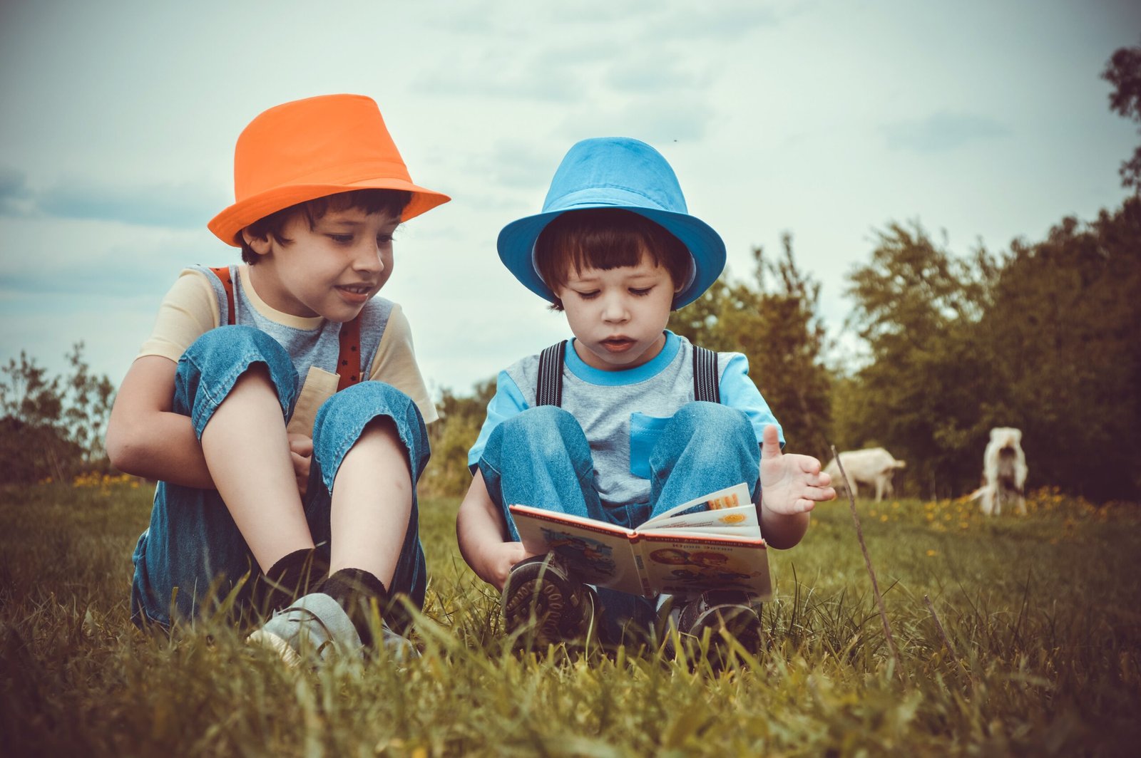 Two boys reading book in grassy field