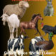 Farm Animals Trace & Write Workbook | 30 Printable Activities for Reception, Preschool & Kindergarten