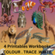 Animal Trace & Write Collection | 4 Printable Workbooks | 100+ Preschool & Kindergarten Activities | EYFS Handwriting Worksheets | Homeschool Printable PDF | Fine Motor Skills