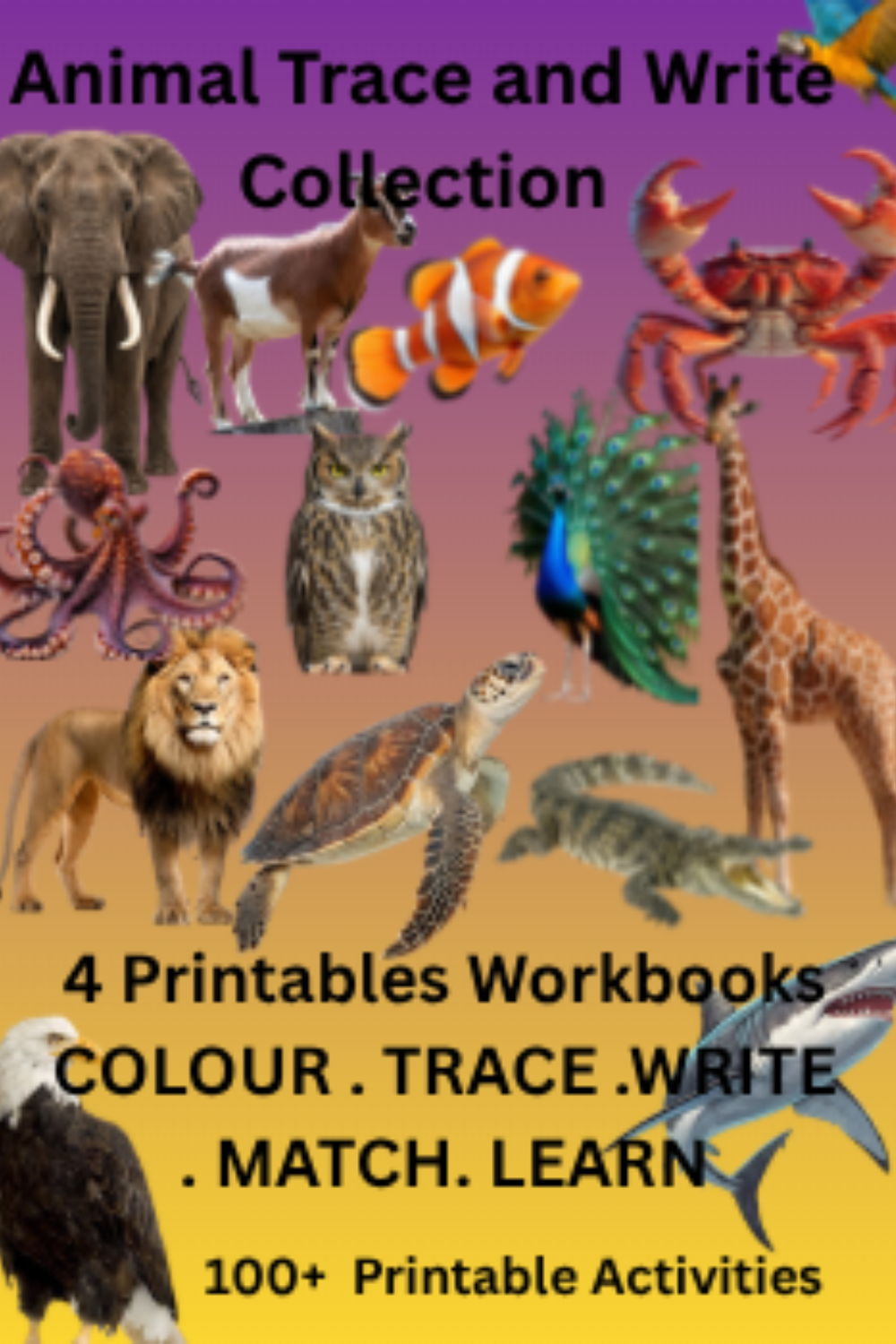Animal trace and write printable workbook cover