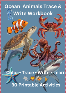 Ocean animals workbook cover with sea creatures