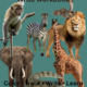 Safari/Jungle Animals Trace & Write Workbook | Preschool Handwriting Worksheets | Kindergarten Printable PDF | EYFS Printable Activities | Fine Motor Skills | Homeschool Resource