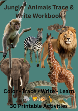 Safari/Jungle animals workbook cover with lion, giraffe, zebra