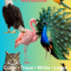 Birds Trace & Write Workbook | Preschool Handwriting Worksheets | Kindergarten Printable PDF | EYFS Fine Motor Activities | Bird Learning Activities | Printable Worksheets
