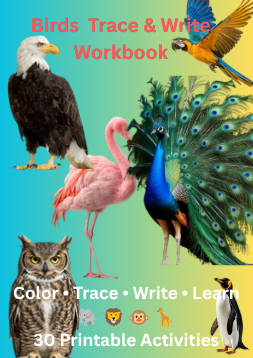 Colourful birds workbook cover with eagle and peacock