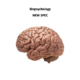 Attachment Content Booklet – AQA A Level Psychology NEW SPEC
