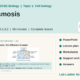 Animal and Plant Cells: AQA GCSE Biology
