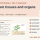 Enzymes, Lock and Key Model: AQA GCSE Biology