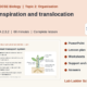 Arteries, Veins and Capillaries: GCSE Biology