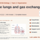 B2 Organisation Bundle: AQA GCSE Biology
