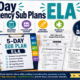 ESL Newcomer Reading Comprehension Worksheets | Grades 4–8 | 40 Activities
