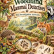 KS2 Woodland Mammal Detectives.