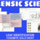KS2 KS3 KS4 Forensic Science: Deductive Reasoning – A Deadly Picnic