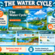 LKS2 The Water Cycle – PowerPoint