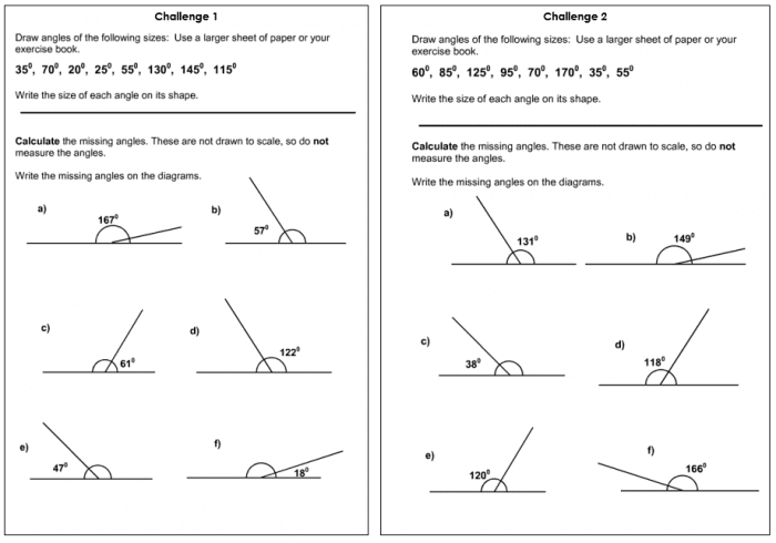 Drawing and Missing Angles Worksheet Year 5 - Lesson Planned | A