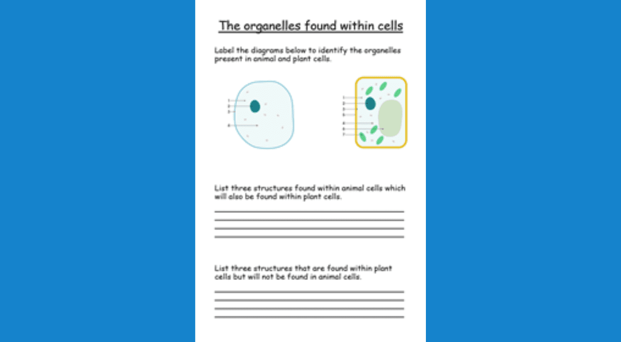 Educational cell organelles worksheet illustration.