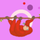 Cartoon red sloth hanging from a branch